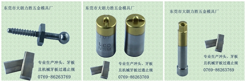 东莞市力胜模具有限公司,力胜模具