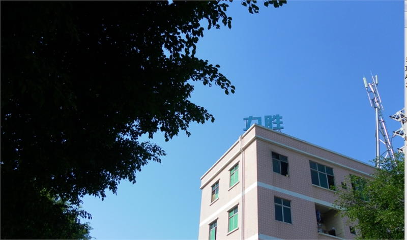 东莞市力胜模具有限公司，力胜模具